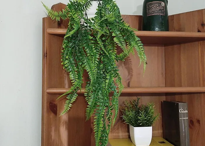 Fully Equipped Indian