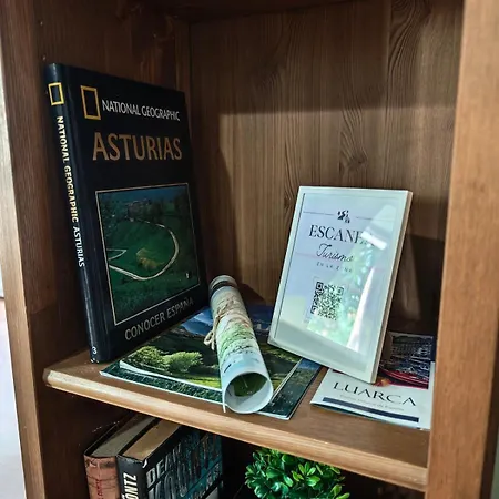 Fully Equipped Indian Appartement Carcedo (Asturias)