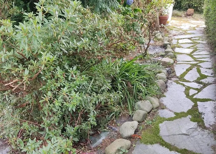 Fully Equipped Indian